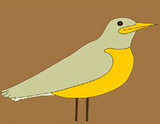 Spirit Financial Bird